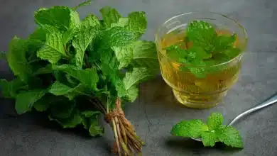 5 miraculous benefits of mint in summer, must know!