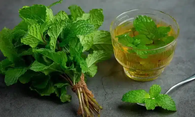 5 miraculous benefits of mint in summer, must know!