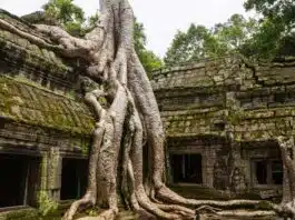 Angkor Wat: A Unique Example of World Heritage
