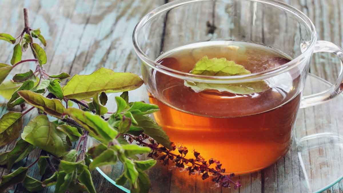 Benefits of Tulsi in controlling thyroid