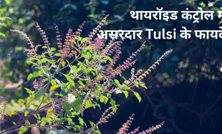 Benefits of Tulsi in controlling thyroid