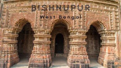 Bishnupur Terracotta