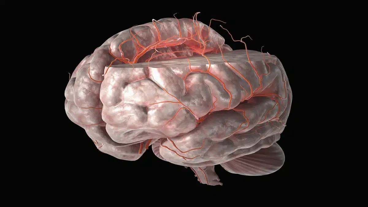 Brain Disorders: Causes, Symptoms, Diagnosis