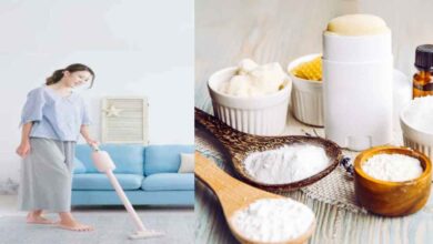 Cleaning the house with Arrowroot These methods are easy and effective!