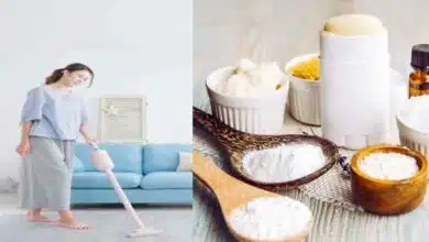 Cleaning the house with Arrowroot These methods are easy and effective!