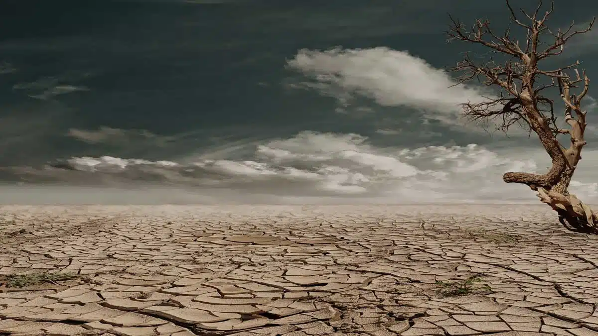 Climate Change and India's Challenges