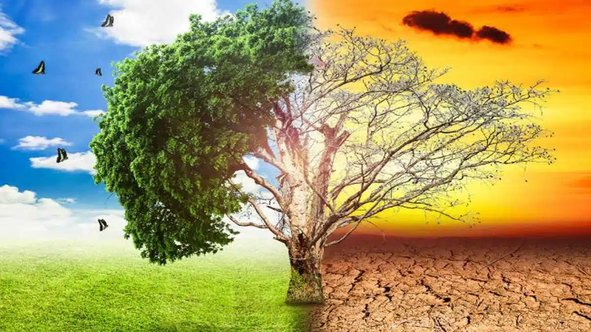 Climate Change and India's Challenges