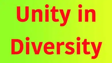 Cultural Diversity in India: Unity in Diversity