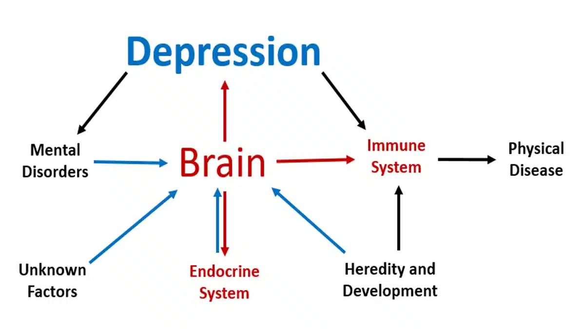 Depression: Causes, Symptoms, and Treatment
