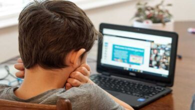 Digital Rights and Online Safety