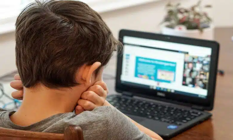 Digital Rights and Online Safety