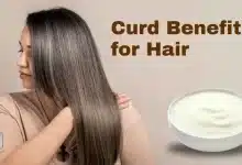Do you apply Curd to your hair? Know its benefits and disadvantages here!