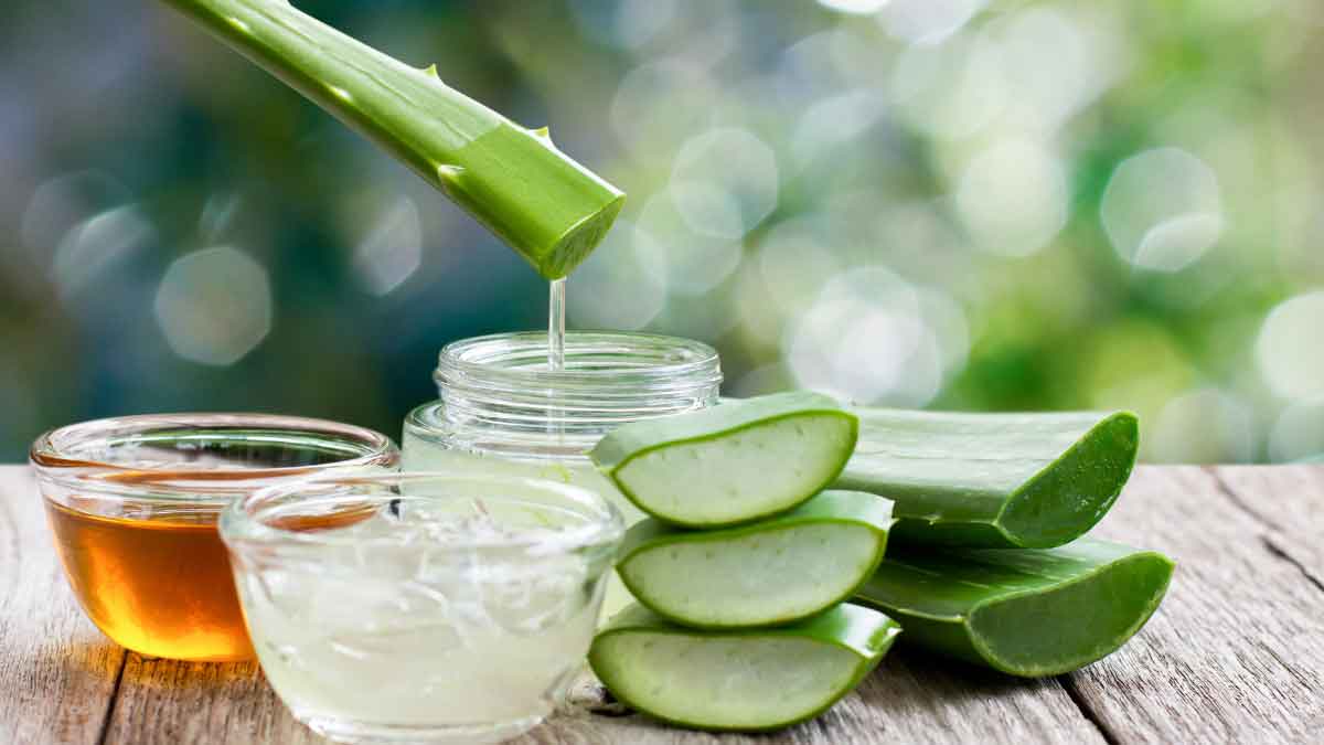 Eat this on an empty stomach in the morning and control Diabetes!