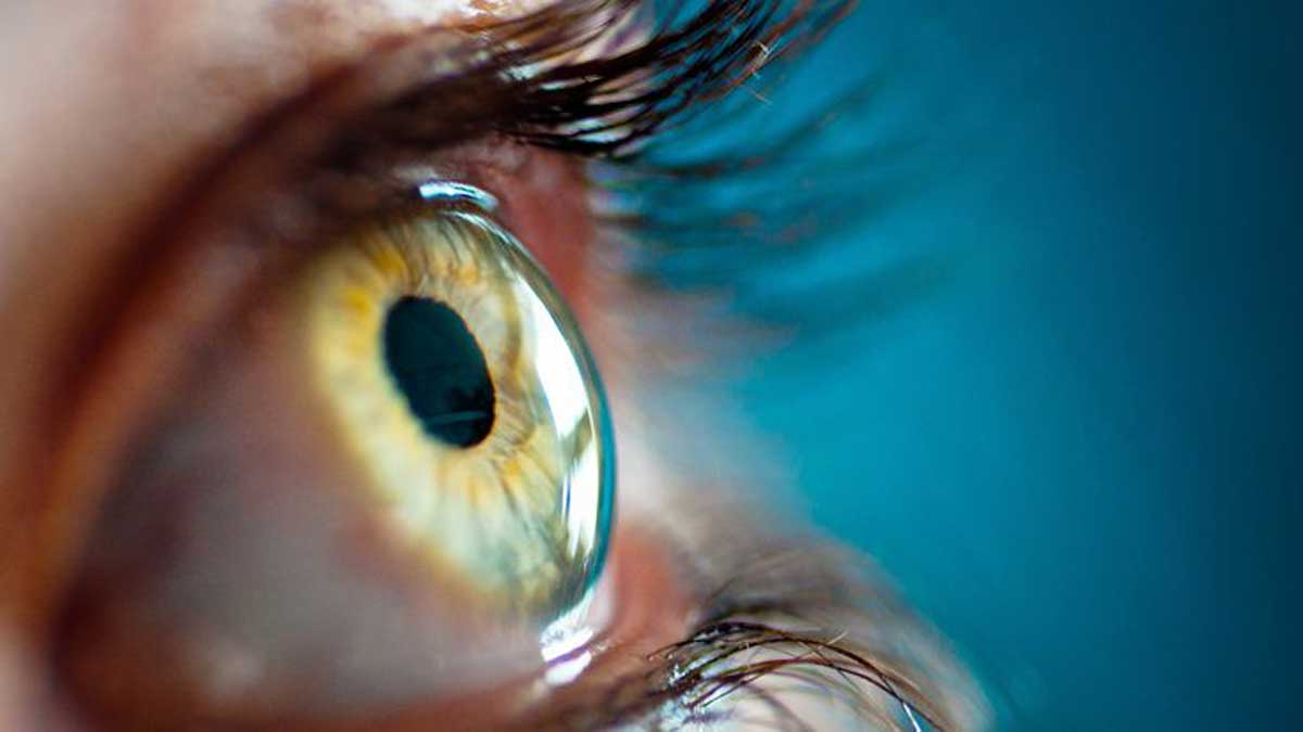 Complete Information about Eye Problems
