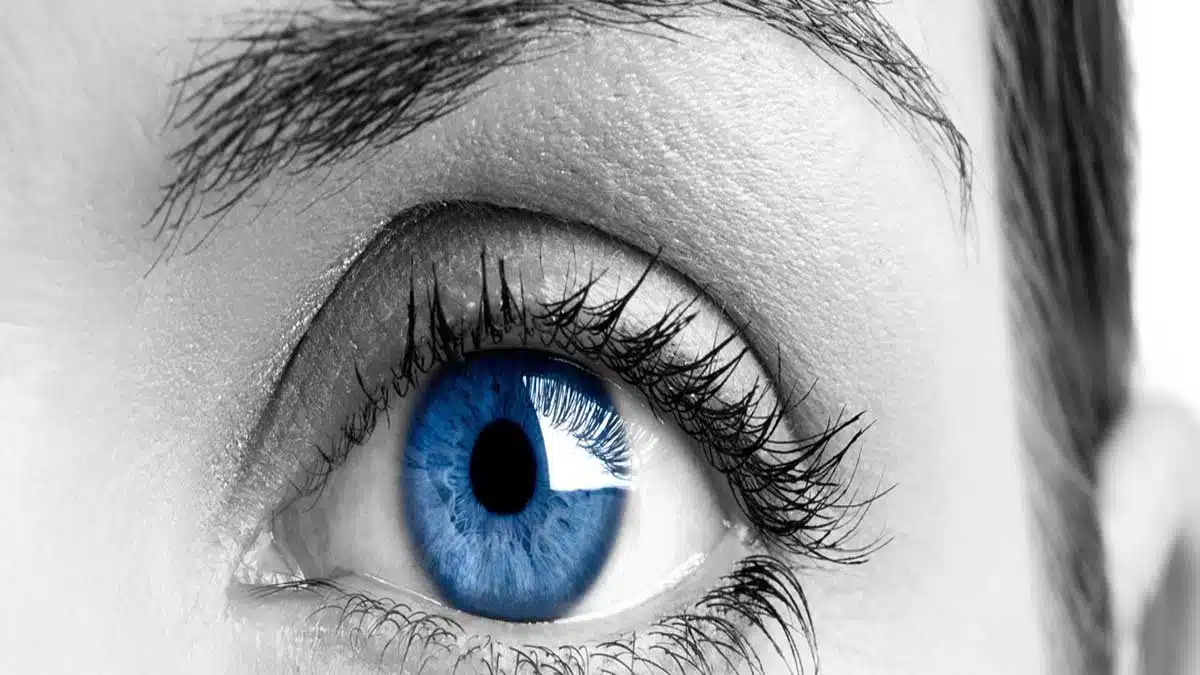Complete Information about Eye Problems