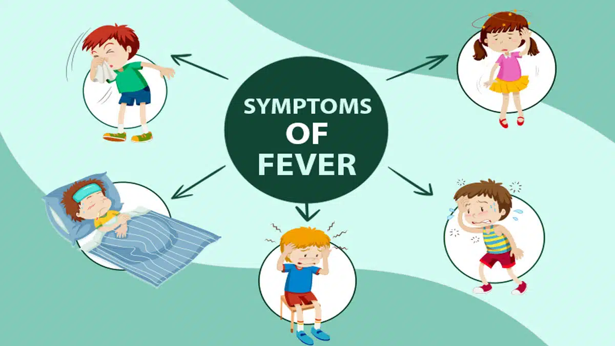 Fever: Causes, Symptoms, Types, Diagnosis