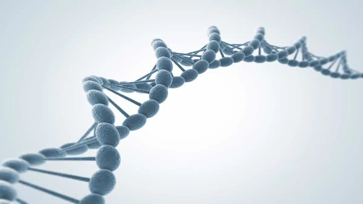 Gaucher Disease: Complete Information, Causes