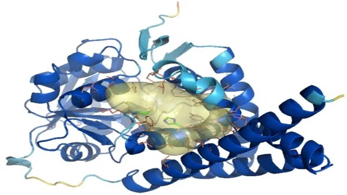 Gaucher Disease: Complete Information, Causes