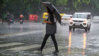 Monsoon 2025: IMD predicts above normal rainfall this year