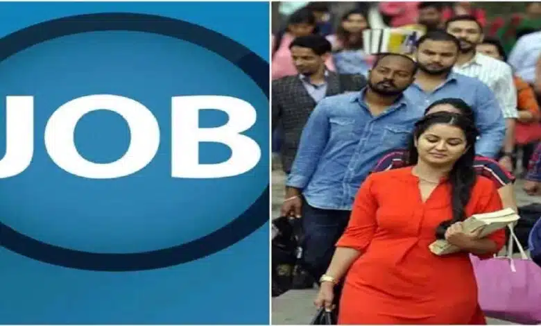 Kandivali Skill has created 1200 jobs in 6 months Piyush Goyal