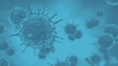 Kerala Avial Disease: Causes, Symptoms