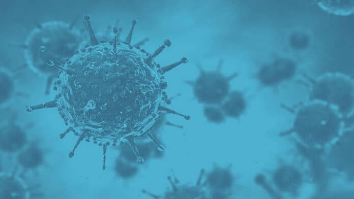 Kerala Avial Disease: Causes, Symptoms