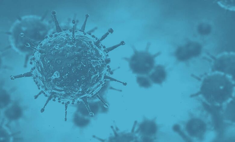 Kerala Avial Disease: Causes, Symptoms