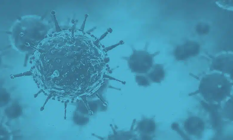 Kerala Avial Disease: Causes, Symptoms