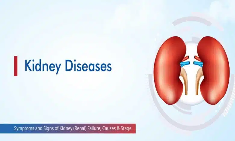 Kidney Disease: Causes and Symptoms