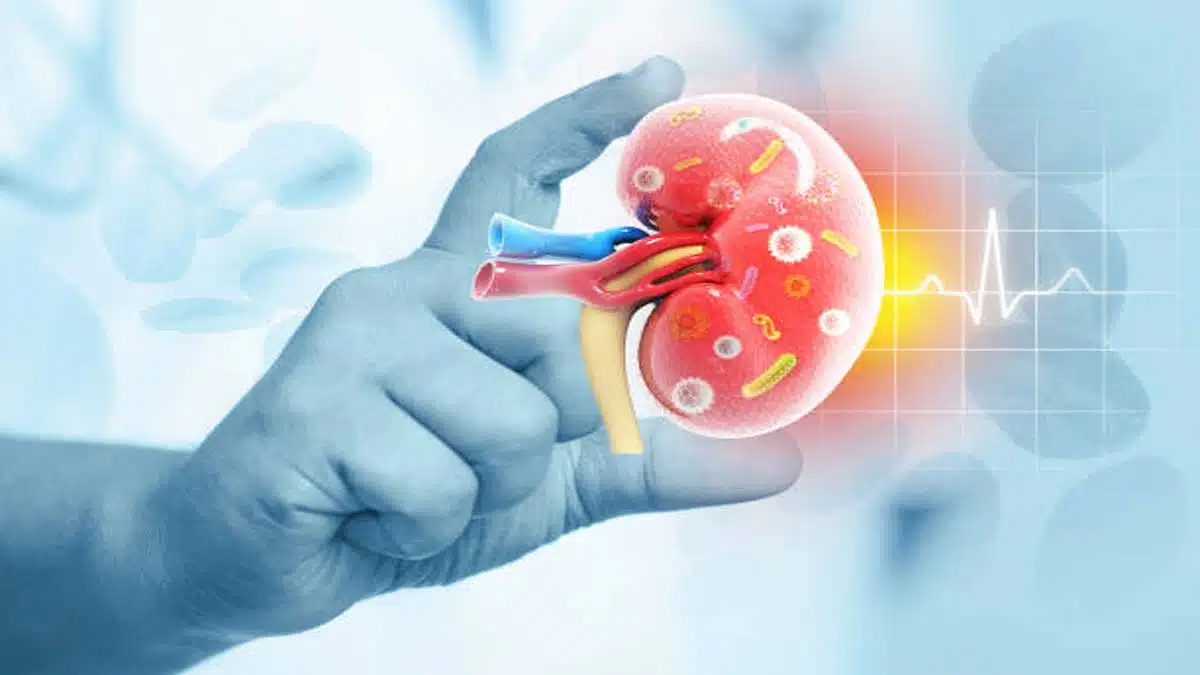 Kidney Disease: Causes and Symptoms