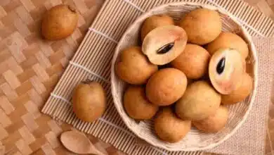 Know the amazing benefits of Chikoo in summer!
