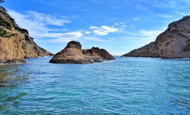 Le Palmares, Goa: A Serene and Luxurious