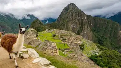 Machu Picchu: The Mysterious and Magnificent