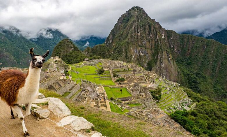 Machu Picchu: The Mysterious and Magnificent