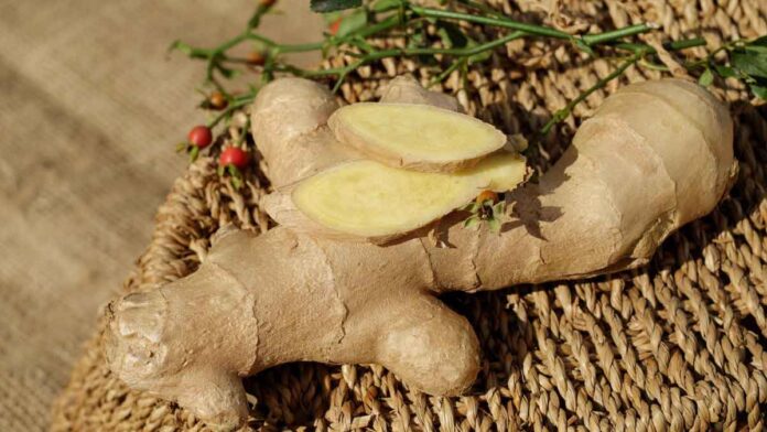 Miraculous benefits of eating ginger every day, must know!