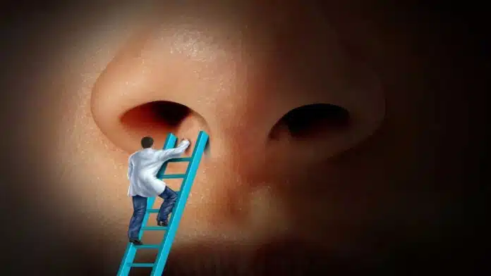 Nasal Problems: Causes, Symptoms, Diagnosis