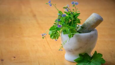 Natural Remedies for Hair: Effective Herbal