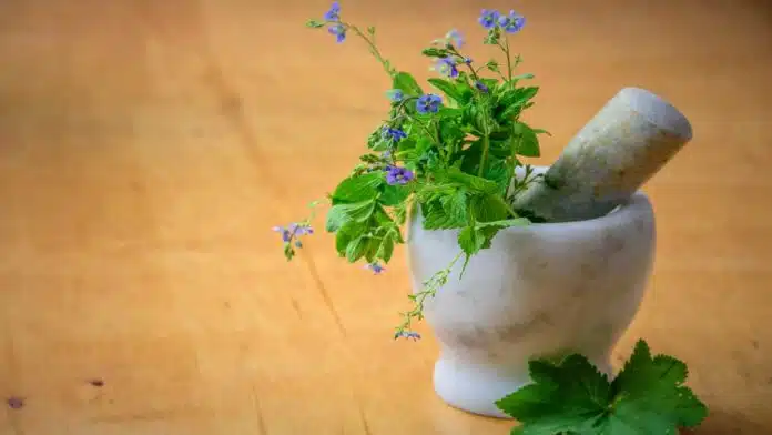 Natural Remedies for Hair: Effective Herbal