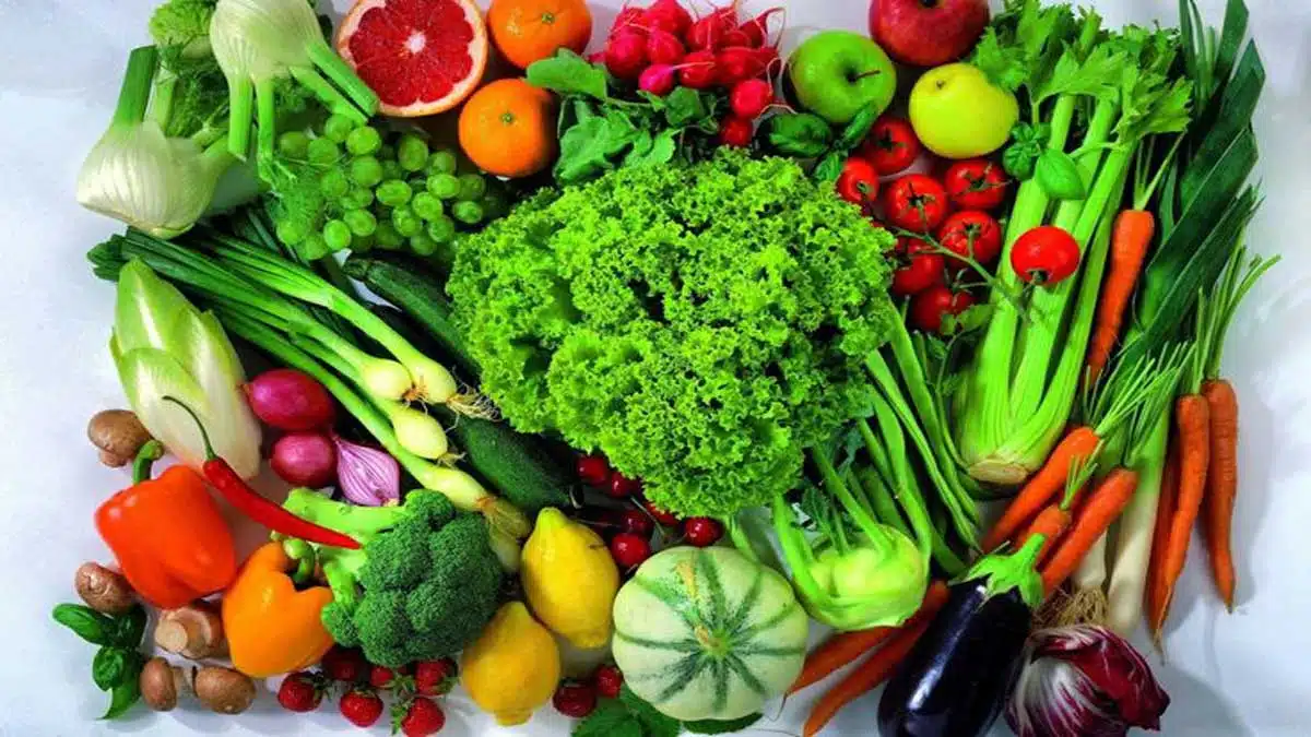 Nutrition and Diet: Essential Elements