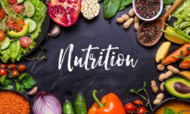 Nutrition and Diet: Essential Elements