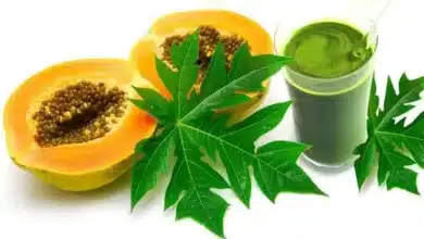 Papaya leaf juice A treasure trove of health!