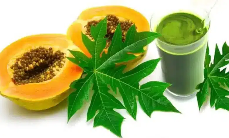 Papaya leaf juice A treasure trove of health!