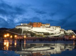 Potala Palace: A Majestic Symbol of Tibetan Culture