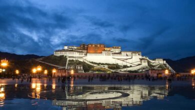 Potala Palace: A Majestic Symbol of Tibetan Culture