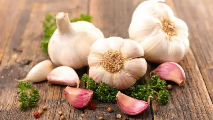 Raw Garlic in summer benefit or harm