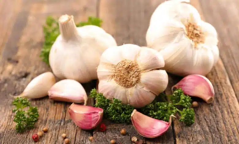 Raw Garlic in summer benefit or harm