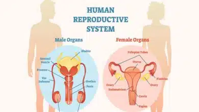 Reproductive Problems: Causes, Symptoms