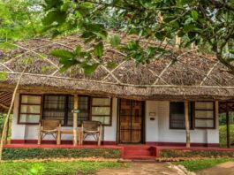 The Spice Village, Thekkady: A Sustainable