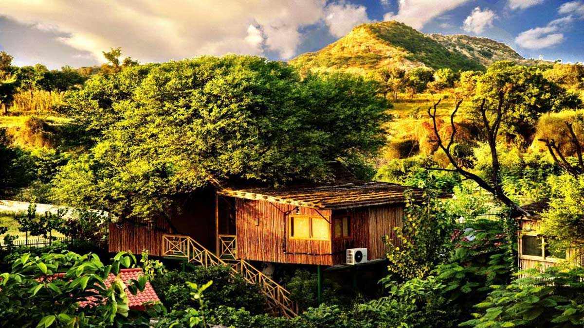 The Tree House Resort, Jaipur – A Perfect Blend