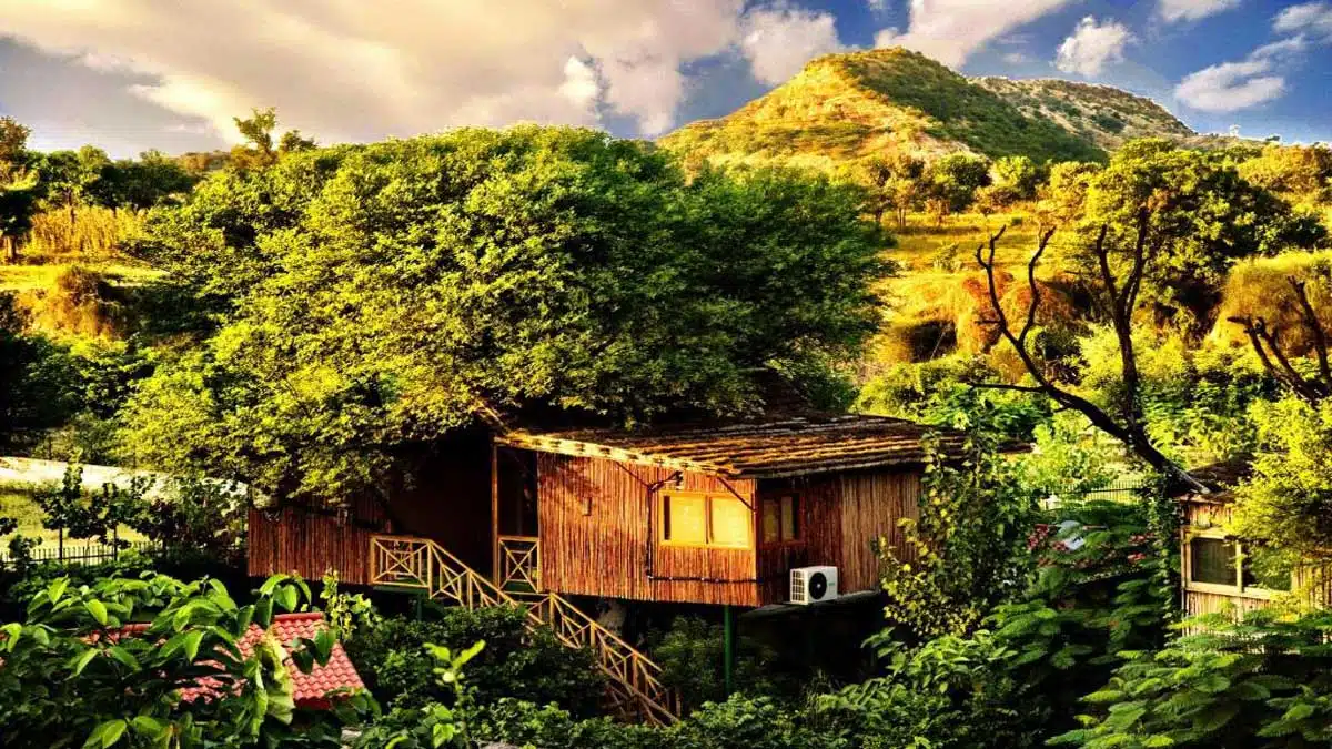 The Tree House Resort, Jaipur – A Perfect Blend